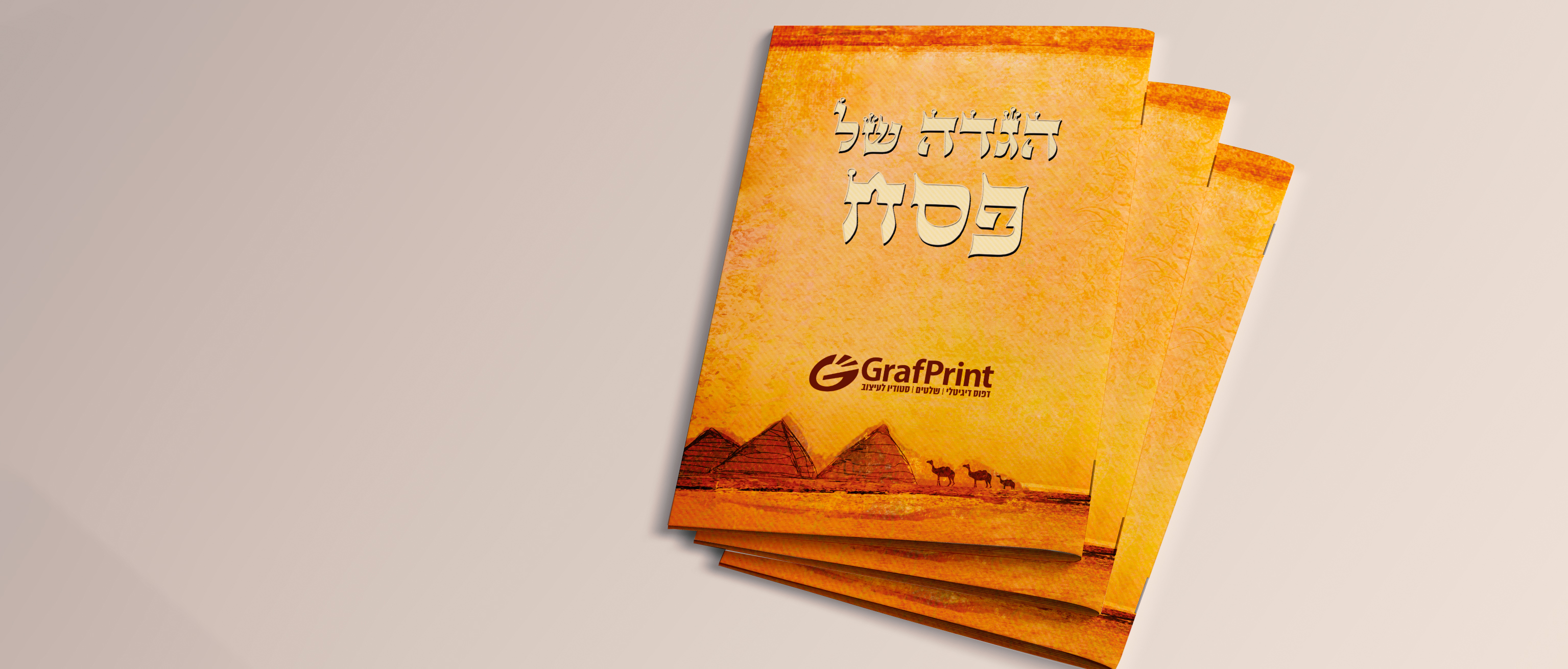 הגדה מדבר- חום 3